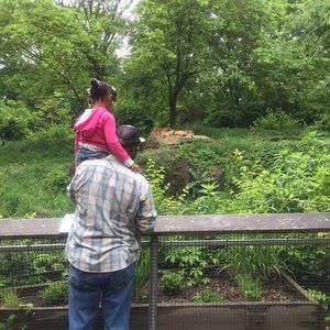 Meet your Posher, Kaila